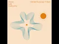 abcdefu (Chilled Summer Vibes)