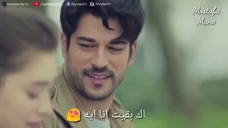 كلمات اغنيه بيت كبير تامر عاشور حالات واتس 
