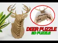 Cardboard Deer Head - DIY DEER