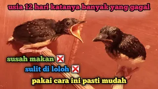 kalau tahu cara ini anakan pasti mudah di loloh
