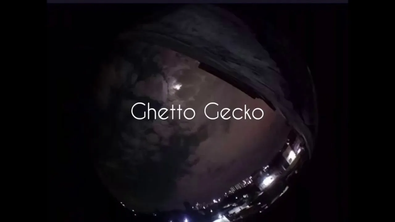 Ghetto Gecko - Dear, Luna