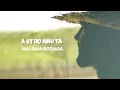 Raí Saia Rodada - Astronauta (EP Cheiro do Mato)