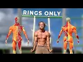 Lagu The 5 Only Gym Ring Exercises You Need! Beginner to Advanced