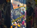 Download Lagu Jungle ke raja jaldi aja sundar si jhanki dekho bhai 🔥😱😱#viralshort #youtubeshorts #youtube