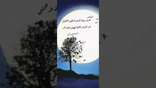 لمعة فلاش عبدالله عقيل الدهمشي 