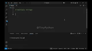 Multiply strings in Python - Tiny Lessons