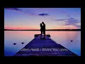 Sam Feldt - Show Me Love (EDX's Indian Summer Remix, Sax Beatz Edit)