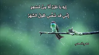 أيها الوسمي  حافظ إبراهيم  أداء أسامة الواعظ  مع شرح  دندنها