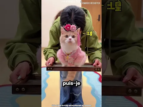 Cette chatte est tellement adorable 🥺❤️
