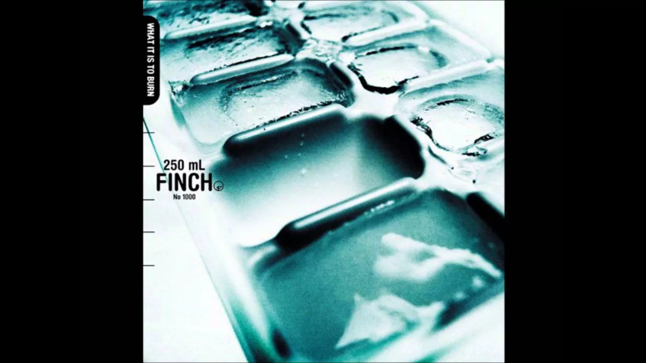 Finch - New Beginnings