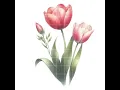 Watercolor Spring Tulip Flowers Clipart Watercolor Flower Clipart floral PNG format instant download