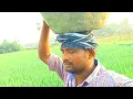 Download Lagu మా ఇంటికి గేట్స్ సమస్య కి ఈరోజు పరిస్కారం దొరికింది, హమ్మయ్య చాలా సంతోషం గా ఉంది😊😊
