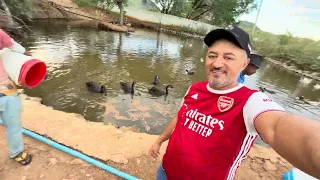 ￼ CHARLLES PEGA TOIN NO FLAGRA ROUBANDO OS PEIXES 😂￼ | CHÁCARA COMÉDIA SELVAGEM 
