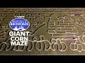Get lost in this elaborate California Corn Maze Bartell s Backroads