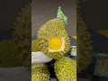 DURIAN 3,1 JUTA #durian #masduren