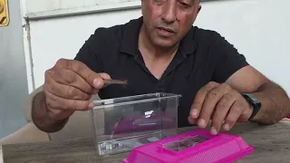 حشره خطيره جدا تعيش بكل الدول كادت ان تفقد حيات طفل تعرفوا عليها مع جمال العمواسي 