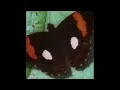 Miynt - Something in the way you move