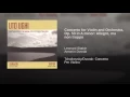 Violin Concerto in A Minor, Op. 53: I. Allegro ma non troppo