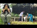Download Lagu Phuong Anh's amnesiac mother comes looking for her. Will Phuong Anh recognize her lost mother?