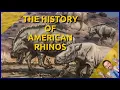 Download Lagu The History of American Rhinos