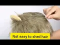 Lion Mane Wig Cap Hat For Cat Dog Halloween Christmas Fancy Dress Funny Cute Pet Costume