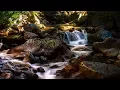 Download Lagu Joan Baez - The Magic Wood (Lyrics)  [HD]