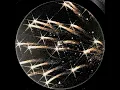 Download Lagu Moonman - Galaxia (Solarstone Remix) (2000)