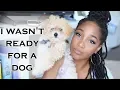 I Wasn t Ready For a Dog Tips for New Puppy Owners New Puppy Must Haves Entrepreneur Life
