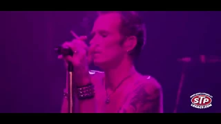 Download USED TO LOVE HER -SCOTT VOCALS- (2010 LIVE IN HOUSTON) VELVET REVOLVER BEST HITS MP3