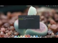Where is Java Installed on System Linux