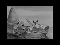 Armin Van Buuren vs Vini Vici,feat Hilight Tribe Great Spirit Cartoon Version