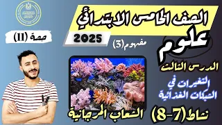 الدرس الثالث علوم مفهوم التغير في الشبكات الغذائية الصف الخامس الابتدائي نشاط 7 8 الترم الاول 2025 