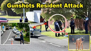 Blood Curdling Screams Gunshots Resident Describes Terrifying Daylight Attack In Auckland Suburb 