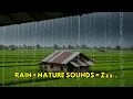 Download Lagu Menyelami Ketenangan Yang Mendalam: Harmoni Hutan Malam Katak, Jangkrik, dan Bisikan Angin Bulan