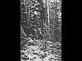 Download Lagu Wintermoon - The Mightiest Stand Above 1995