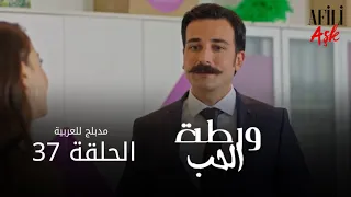 الحب ورطة الحلقة 37 مدبلج للعربية Afili Aşk HD 