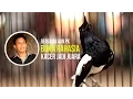 Download Lagu SUARA BURUNG : Buka Rahasia Kacer Jadi Juara