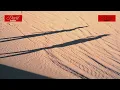 Download Lagu Davit Barqaia - Our Silhouette | Music Video