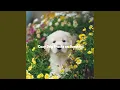 Download Lagu Phenomenal Melody Thoughts