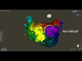 Figure 8 Mitral and Roof flutter
