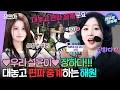 Download Lagu [#아육대] 해원은 진짜 유명한 고슴도치(=엔믹스, JYP) 엄마임 🦔 | #엔믹스 #해원 MBC240918방송