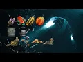 Barotrauma Guide Pets and Plants