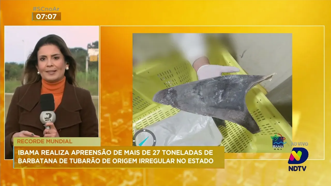 Ibama realiza a maior apreensão barbatana de tubarão em empresa exportadora de SC