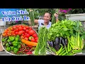 Download Lagu Trồng 1 lần ăn hoài ko hết, 9 loại đủ cả nhìn là muốn ăn