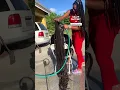 Washing world s longest locks ashybermudez