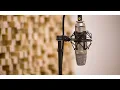 Post Malone - Socialite vocals backing track