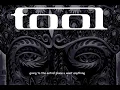 Download Lagu chill tool songs to relax/transcend to