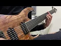 Spiritbox - Holy Roller feat. Ryo Kinoshita (Guitar Cover)