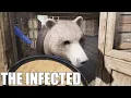 We Got An Unwanted Visitor The Infected S25E28