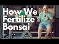 How We Fertilize Our Bonsai at RAKUYO